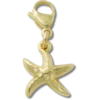 Berloque Jibbitz™ em forma de estrela-do-mar dourada Berloque Jibbitz™ em forma de estrela-do-mar dourada