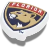 Berloques Jibbitz™ NHL® Florida Panthers Berloques Jibbitz™ NHL® Florida Panthers