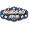 Berloques Jibbitz «Sounds Gay Im In»