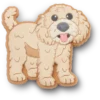 «Berloques para sapatos B’golden Doodle Puppy Jibbitz»